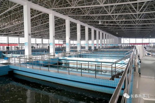 王凱在第一凈水廠檢查指導全市供水工作時要求 強化極限思維,提升能力建設,切實保障群眾用水和都市圈發