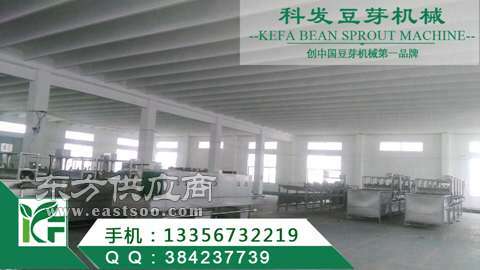 自動豆芽設備廠家 山東科發(fā)豆芽機械公司 周口豆芽設備廠家圖片