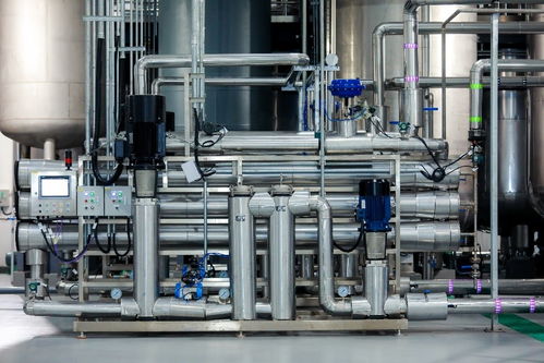 基因港百噸nmn工廠正式投產, 銀發(fā) 經濟增添新動力