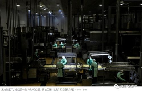 引發(fā)普遍擔憂 泰國最大肉聯(lián)廠爆發(fā)聚集性感染200多人確診